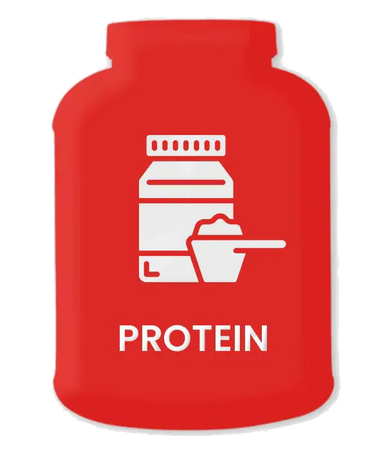 Protein