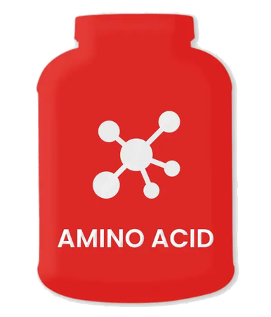 Amino Acid