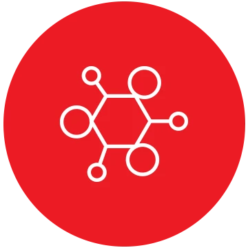 Amino Acid